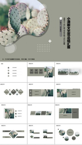 小清新文艺范总结汇报ppt模板